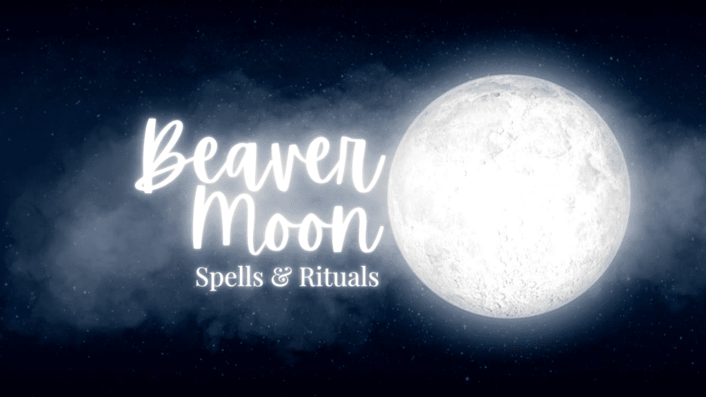 Beaver Moon