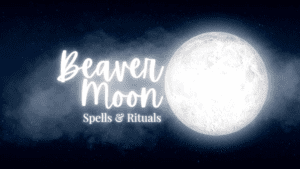 Beaver Moon