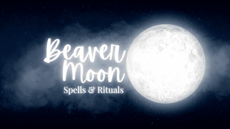 Beaver Moon